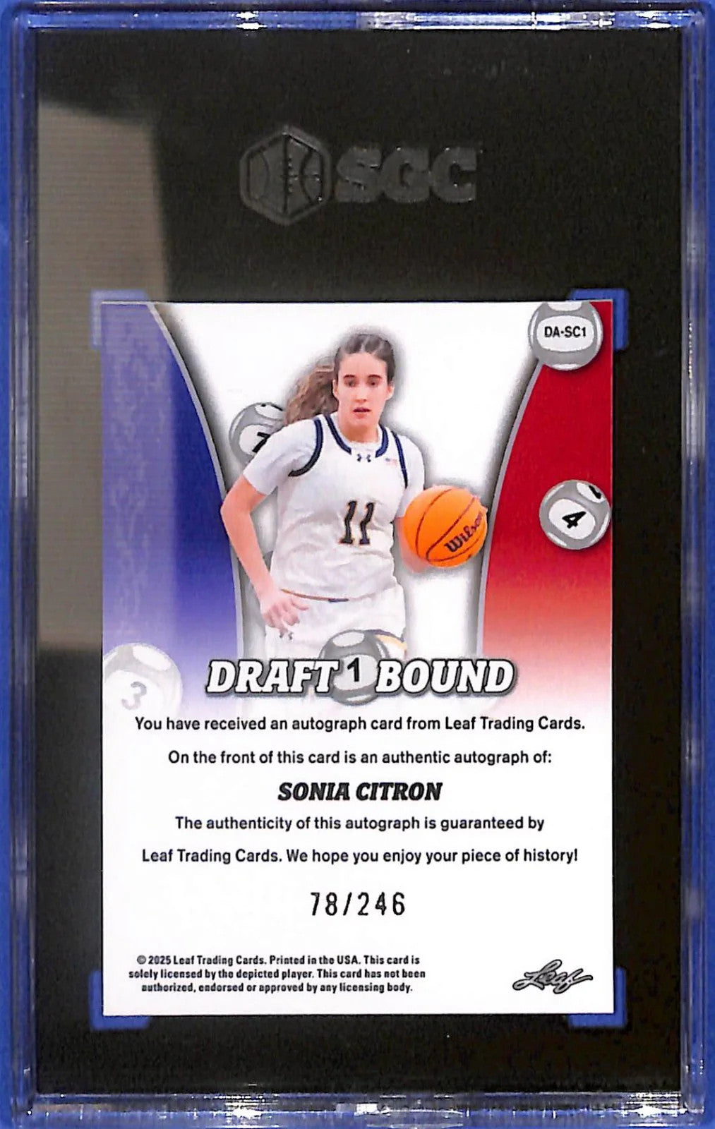 2025 Leaf Metal Web Excl Sonia Citron Rookie Auto Draft Bound #/246 SGC 10/10