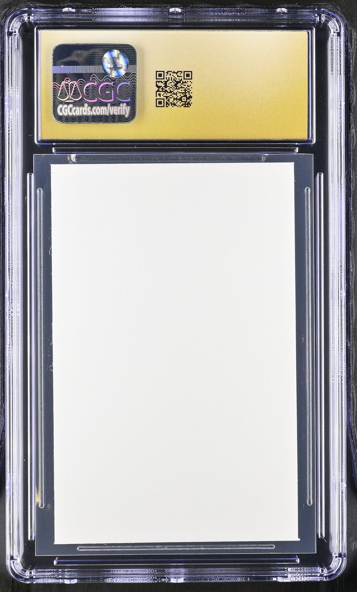 2024 Ensky One Piece Deco Sticker Brook CGC 10 Pristine