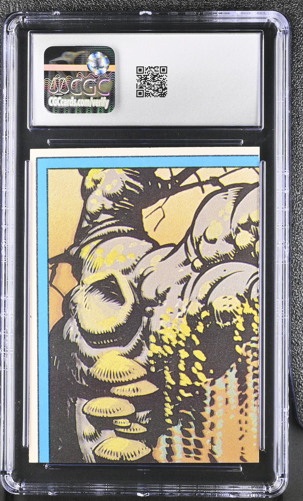 1984 Topps Masters Of The Universe He-Man & Battle Cat Sticker Blue #19 CGC 7