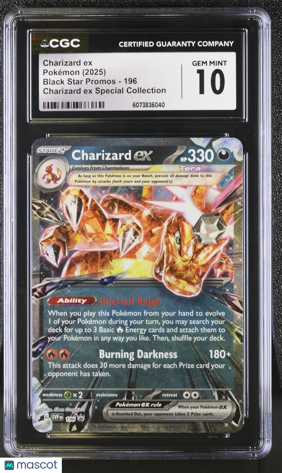 2025 Pokemon Black Star Promos Charizard ex Special Collection CGC 10 #196