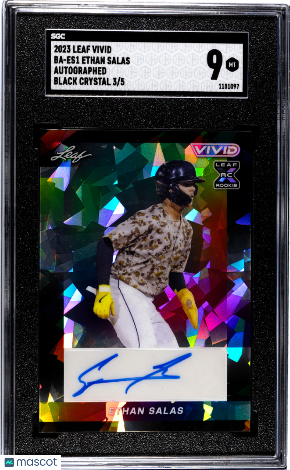 2023 Leaf Vivid Ethan Salas Autograph Black /5 Rookie #BA-ES1 SGC 9 Padres